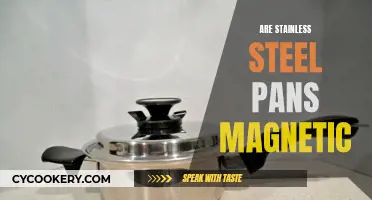 Magnetic Stainless Steel Pans: Myth or Fact?