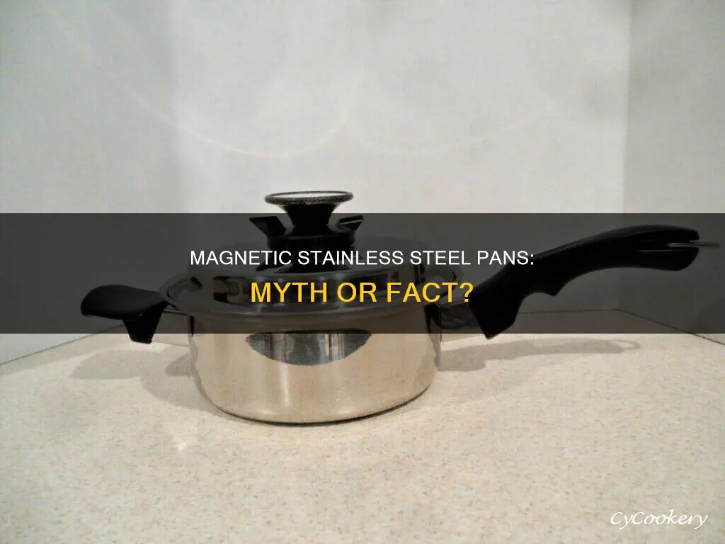 are stainless steel pans magnetic