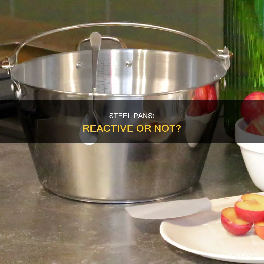 are stainless steel pans non reactive