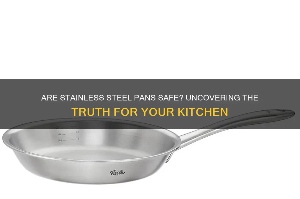 are stainless steel pans safe to use