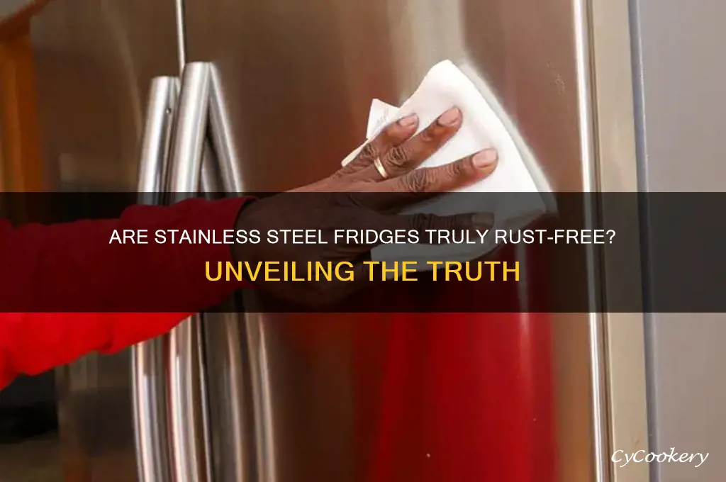 are stainless steel refrigerators really stainless steel