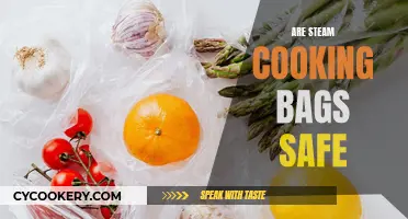 Steam Cooking Bags: Are They Safe to Use?