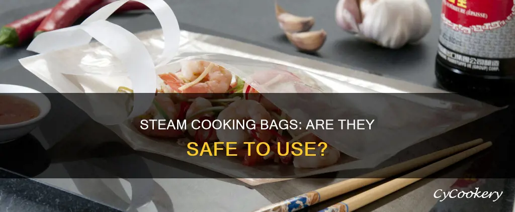 are steam cooking bags safe