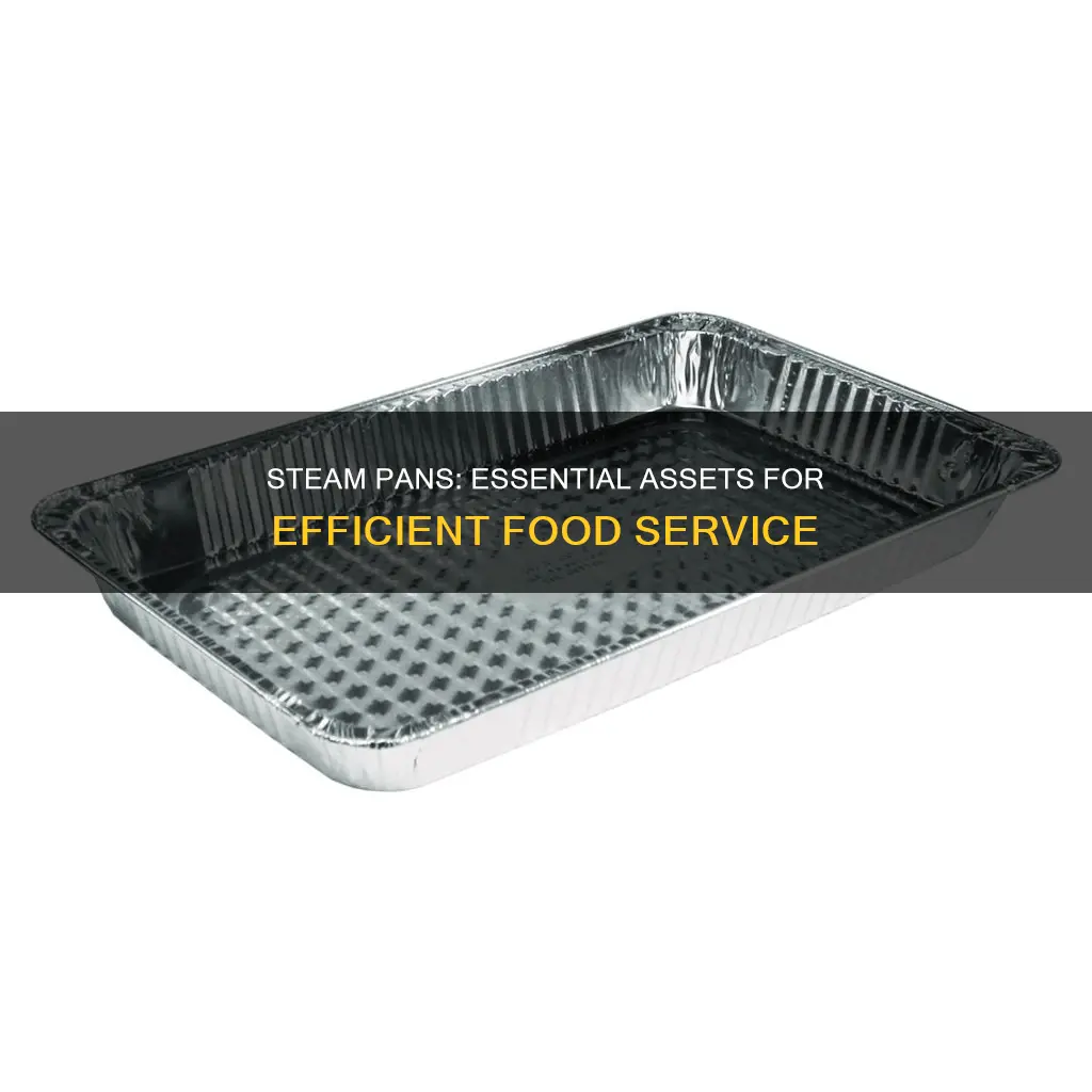 are steam pans assets