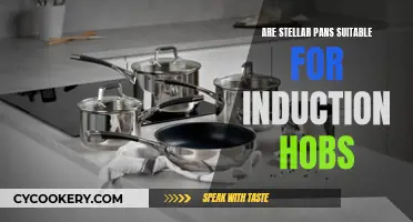 Stellar Pans: Induction Hob Compatibility Explored