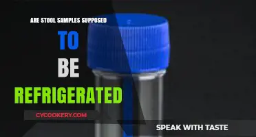 Should Stool Samples Be Refrigerated? Essential Tips for Proper Handling