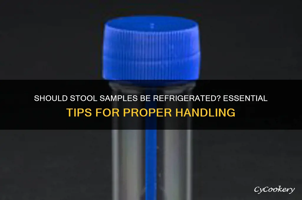 are stool samples supposed to be refrigerated