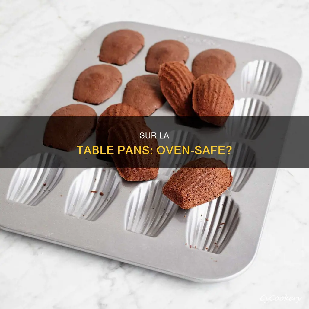 are sur la table pans oven safe