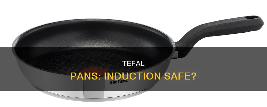 are tefal pans induction safe