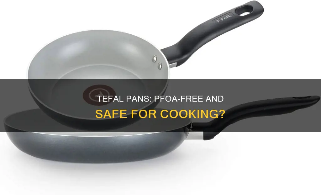 are tefal pans pfoa free