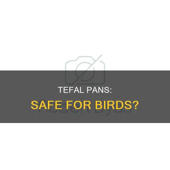 are tefal pans safe for birds