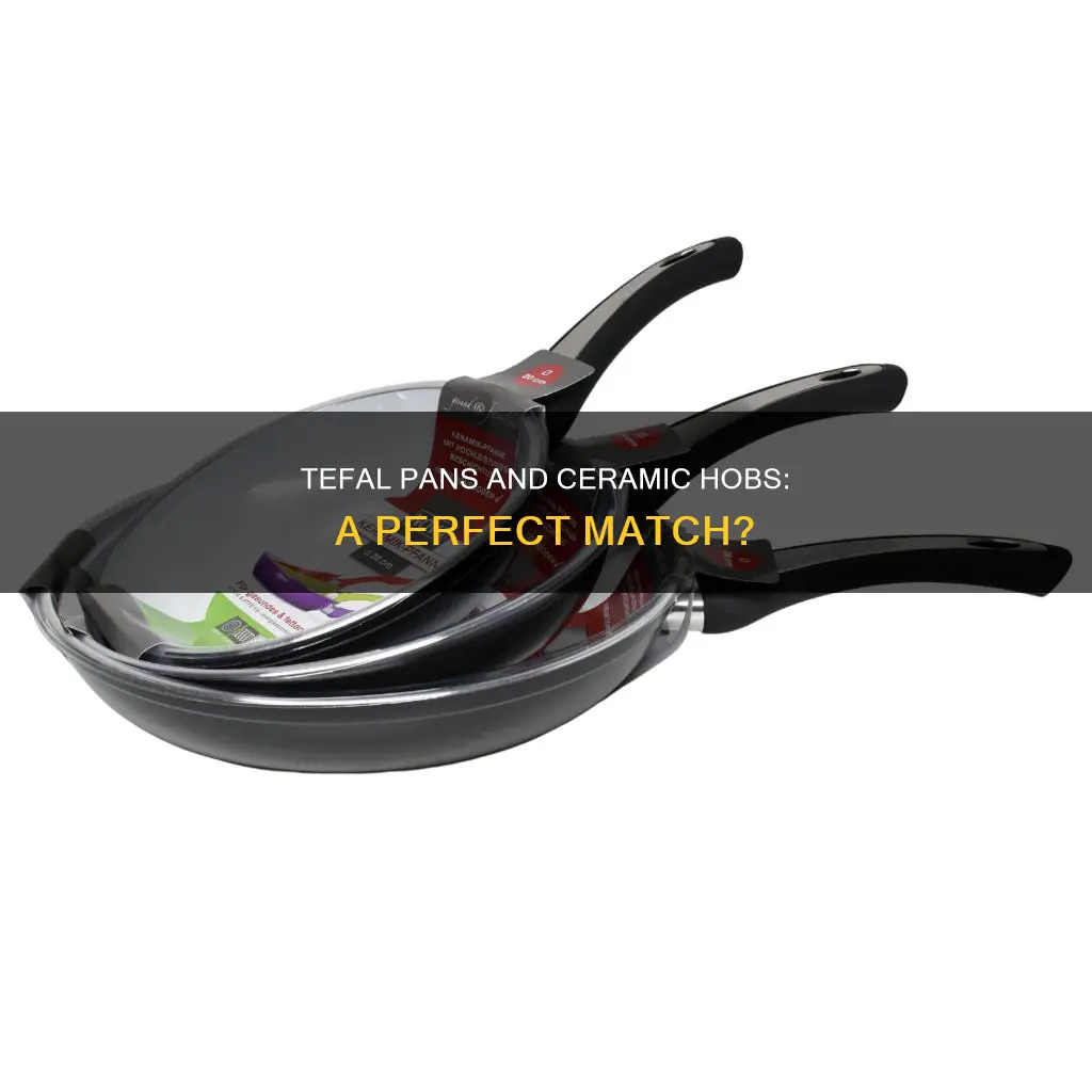 are tefal pans suitable for ceramic hobs