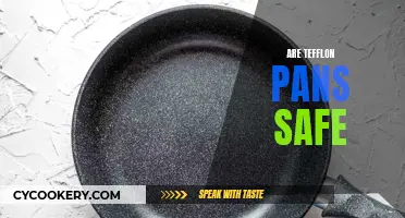 Teflon Pans: Safe or Not?