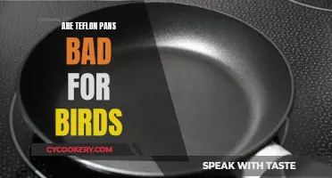 Teflon Pans: Are They Toxic to Pet Birds?