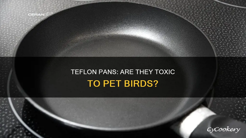 are teflon pans bad for birds