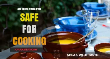 Terra Cotta Pots: Safe for Cooking?