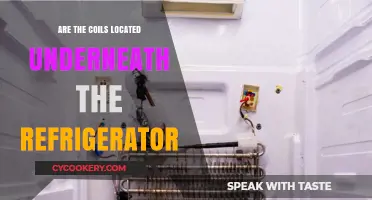 Where Are Refrigerator Coils Located: Underneath or Elsewhere?