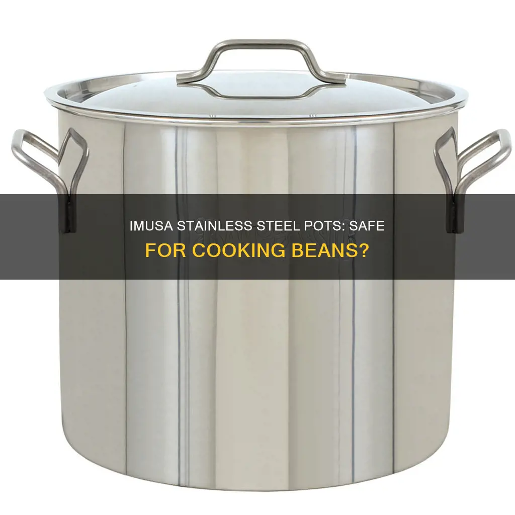 are the imusa stainless pot safe for cooking beans