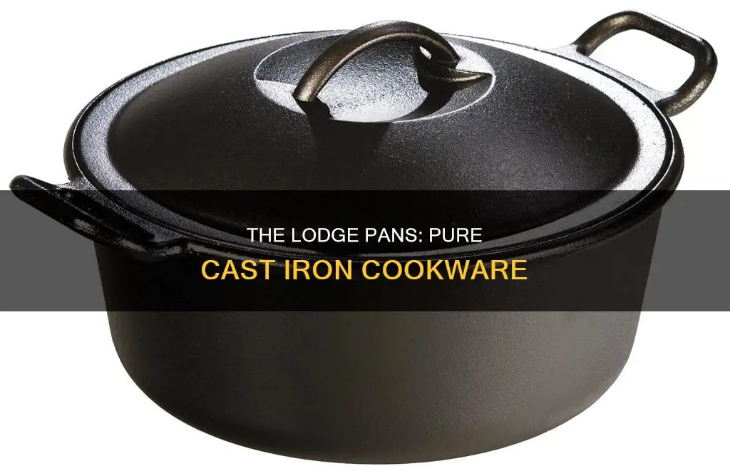 are the lodge pans 100 cast iron