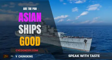 Exploring the Viability of Pan-Asian Ships: Are They Worthwhile?