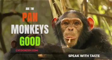Pan Monkeys: The Good, Better, Best?