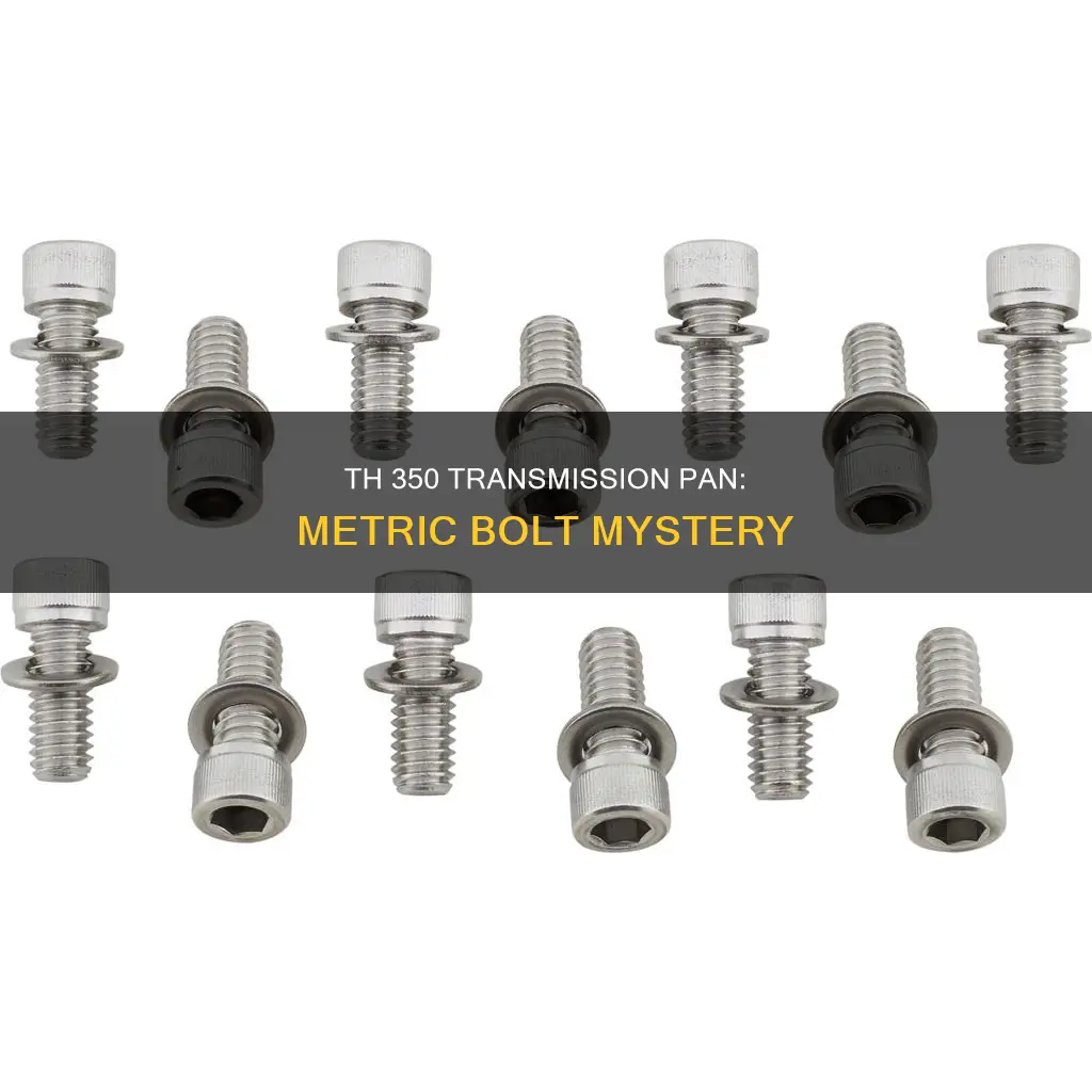 are the th 350 transmission pan bolts metric