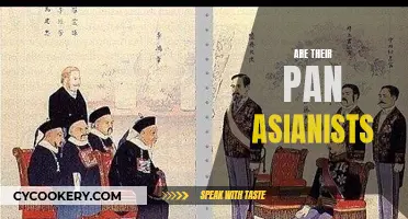 Pan-Asianism: A United Asia Dream or Reality?