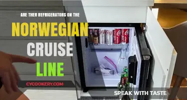 Do Norwegian Cruise Line Ships Have Refrigerators in Cabins?