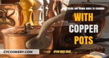 Copper Pots: Any Drawbacks to This Cooking Trend?