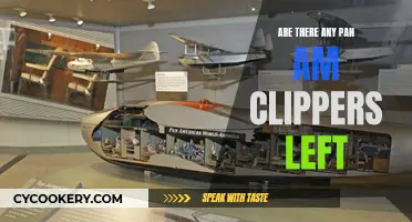 The Last Pan Am Clippers: Where Are They Now?