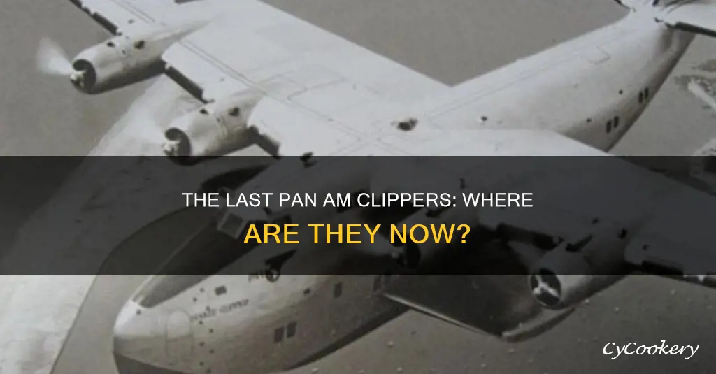 are there any pan am clippers left