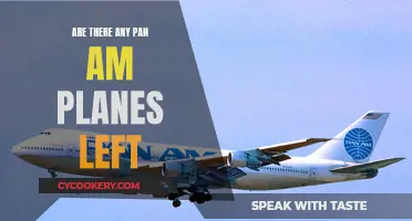 The Lasting Legacy of Pan Am Planes
