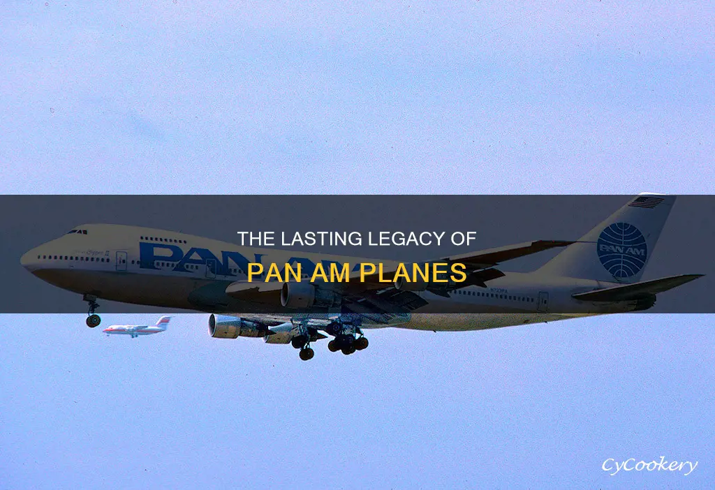 are there any pan am planes left