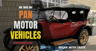 The Evolution of Pan-Motor Vehicles: Exploring the Possibilities