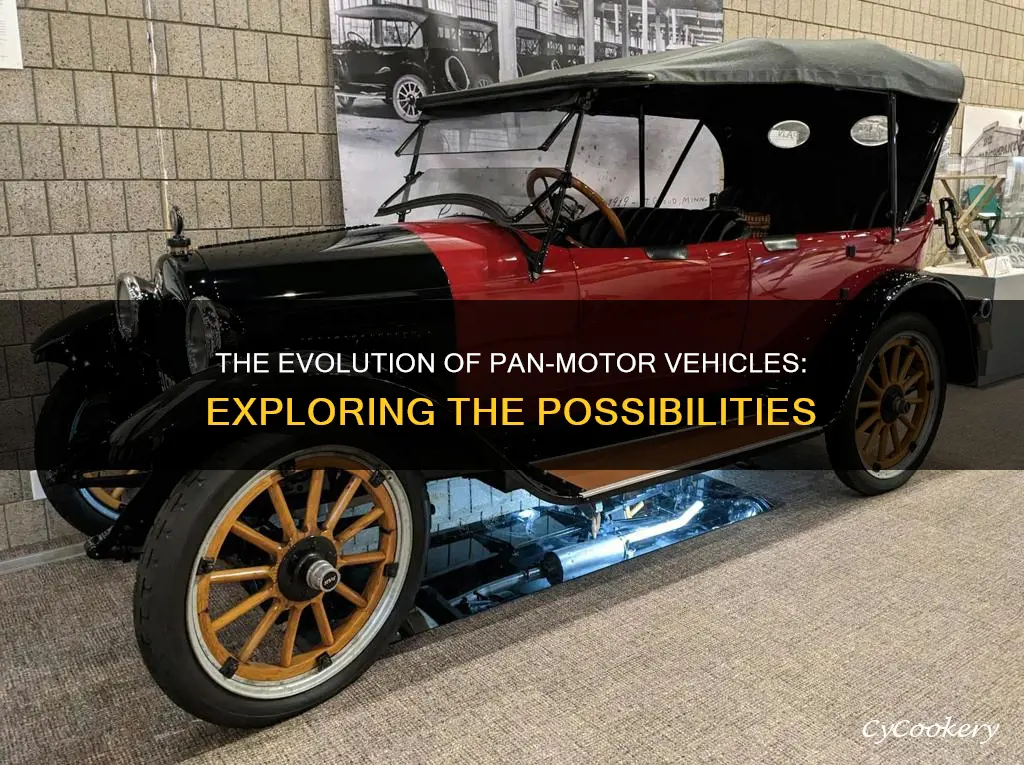 are there any pan motor vehicles