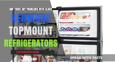 Common Issues with Aging Kenmore Top-Mount Refrigerators: What to Know
