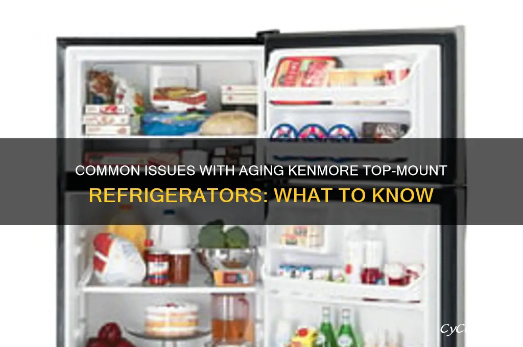 are there any problems with older kenmore topmount refrigerators