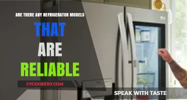 Discover the Most Reliable Refrigerator Models for Long-Lasting Performance