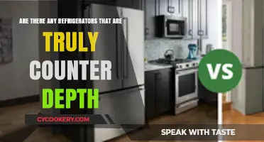Counter Depth Refrigerators: Myth or Reality? Exploring True Options