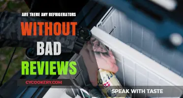 Finding Flawless Fridges: Do Refrigerators Exist Without Bad Reviews?