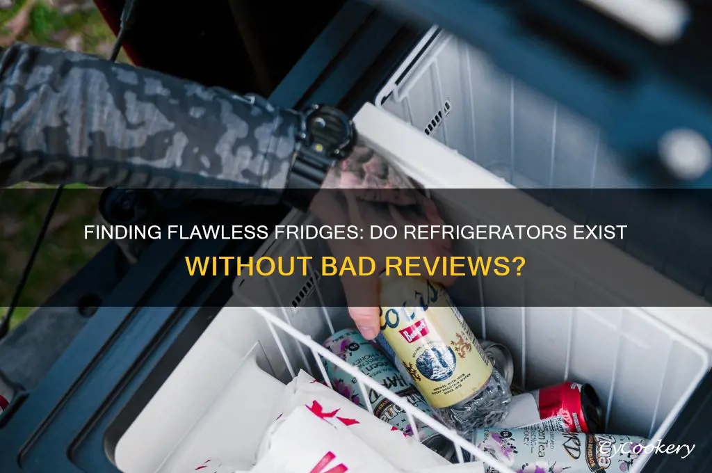 are there any refrigerators without bad reviews