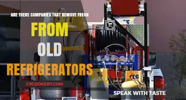 Eco-Friendly Disposal: Companies That Safely Remove Freon from Old Fridges