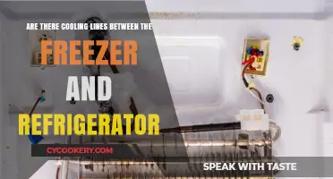 Understanding Cooling Lines Between Your Freezer and Refrigerator: A Guide