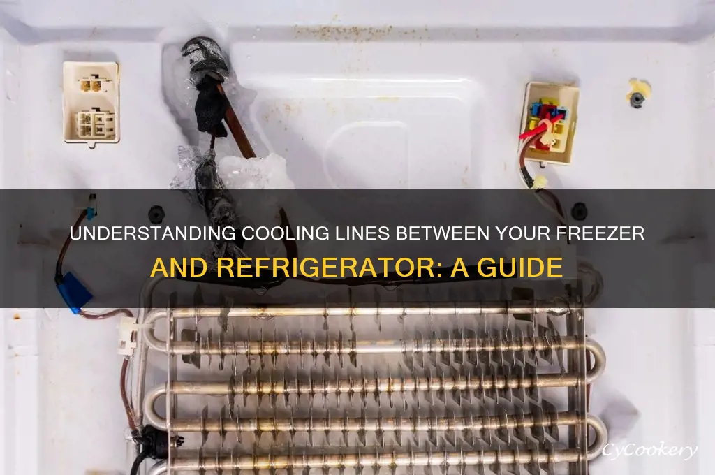are there cooling lines between the freezer and refrigerator