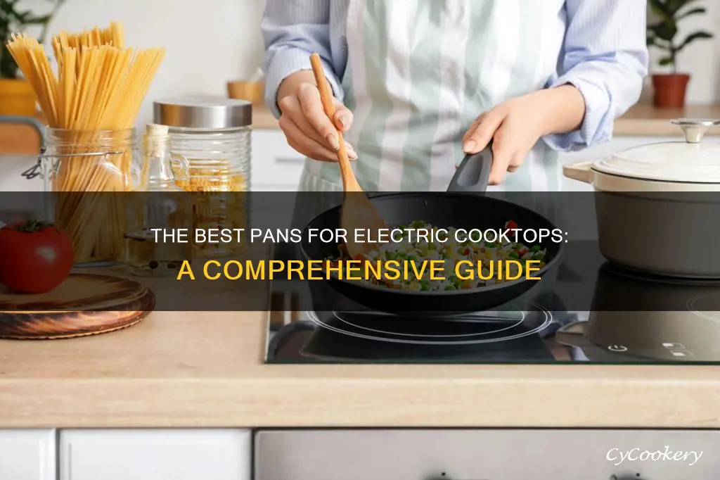 are there electric cooktop pans
