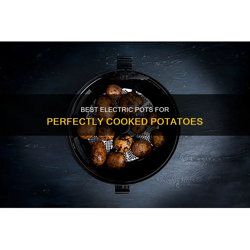 are there electric pots for cooking potatoes