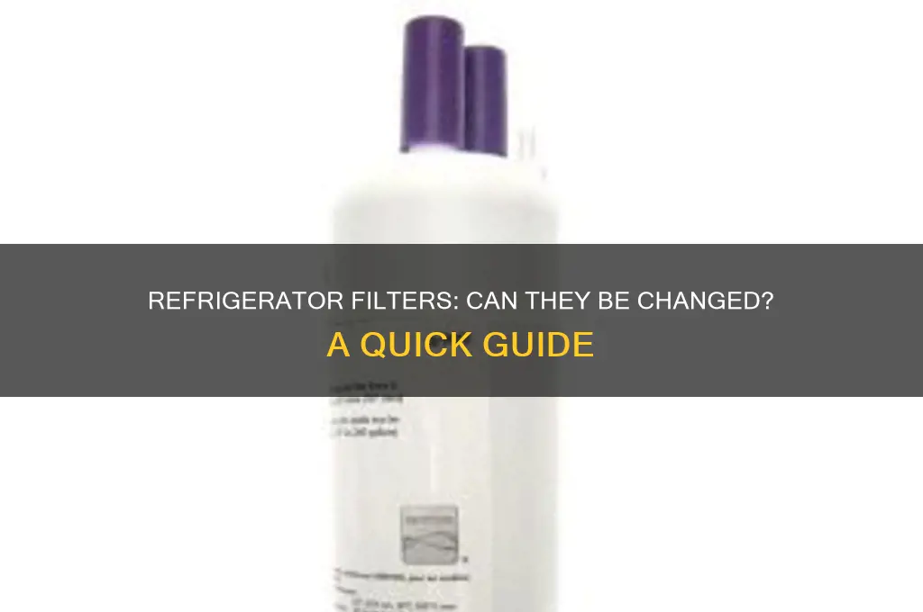 are there filters on a refrigerator that can be changed