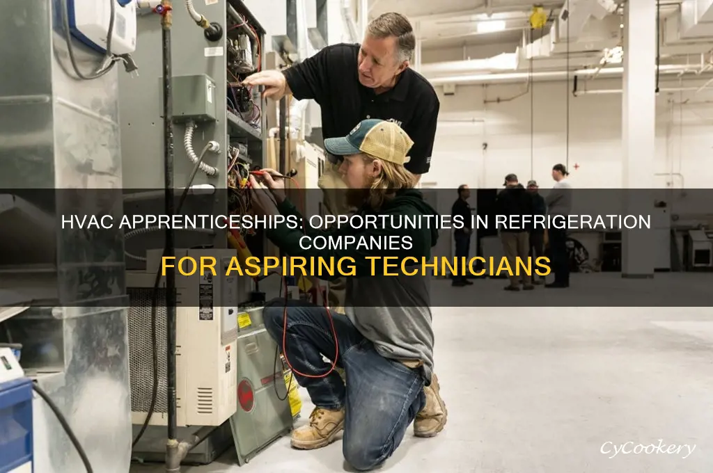 are there hvac refrigeration companies that hire apprentices