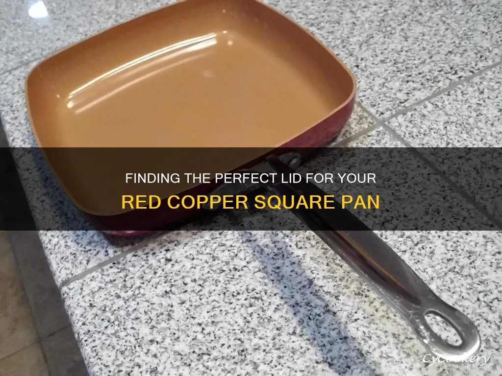 are there lids for the red copper square pans