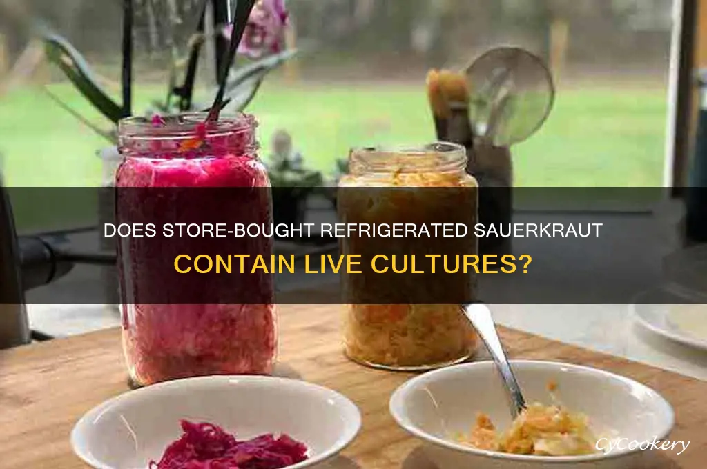 are there live cultures in store bought refrigerated sauerkraut